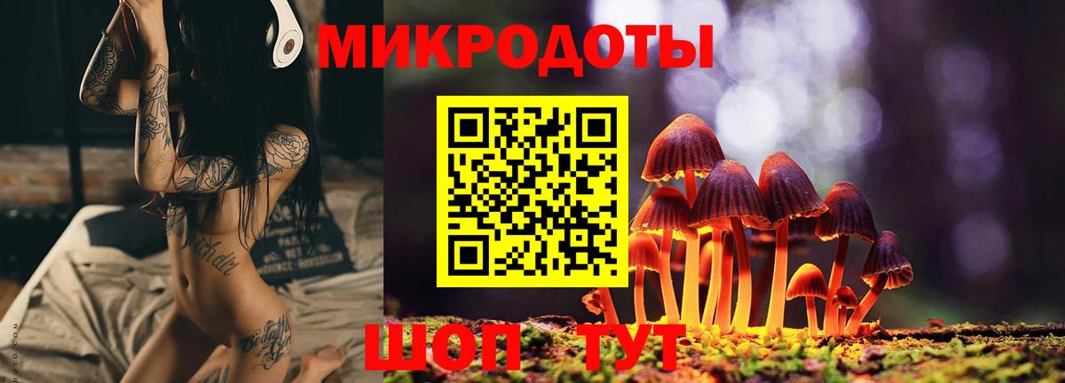 Псилоцибиновые грибы Psilocybe  Вход с VPN  Дзержинский  Псилоцибиновые грибы ЛСД 